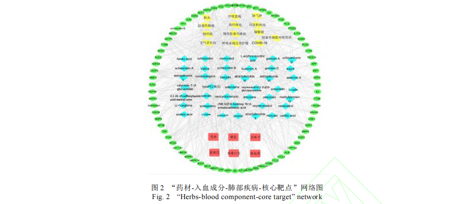 第 3 个：近期，《中药杂志》上发表了一项《基于HPLC-Q-TOF-MS/MS和网络药理学的补肺丸入血成分、肺病治疗潜能及新型冠状病毒感染恢复期的应用机制研究》（以下简称：本项研究）的最新学术成果。本项研究，由中医科学院医学实验中心、中药研究所，沈阳药科大学，黑龙江中医药大学等科研团队联合展开，采用血清化学、药物体内分布、网络药理学等方法研讨补肺丸在肺部疾病的应用功能，并挖掘潜在的药理学功能。