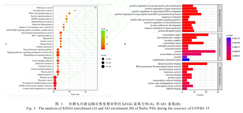 第 4 个：近期，《中药杂志》上发表了一项《基于HPLC-Q-TOF-MS/MS和网络药理学的补肺丸入血成分、肺病治疗潜能及新型冠状病毒感染恢复期的应用机制研究》（以下简称：本项研究）的最新学术成果。本项研究，由中医科学院医学实验中心、中药研究所，沈阳药科大学，黑龙江中医药大学等科研团队联合展开，采用血清化学、药物体内分布、网络药理学等方法研讨补肺丸在肺部疾病的应用功能，并挖掘潜在的药理学功能。